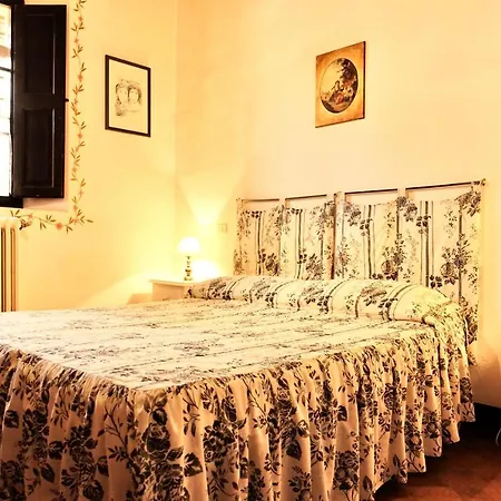 Villa Buonsignori - Wine & Olive Oil Farm Corsano (Tuscany) Exterior photo