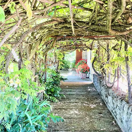 Villa Buonsignori - Wine & Olive Oil Farm Corsano (Tuscany) Exterior photo