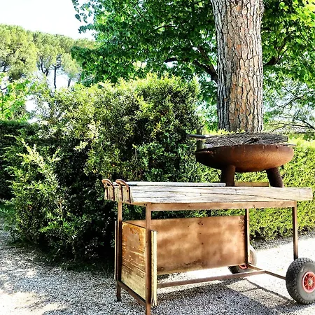 Villa Buonsignori - Wine & Olive Oil Farm Corsano (Tuscany) Exterior photo