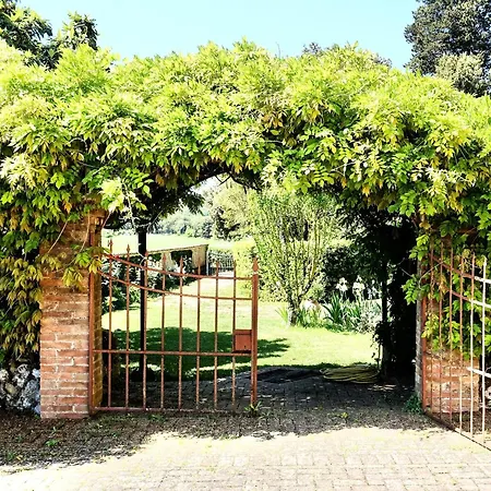 Villa Buonsignori - Wine & Olive Oil Farm Corsano (Tuscany) Exterior photo
