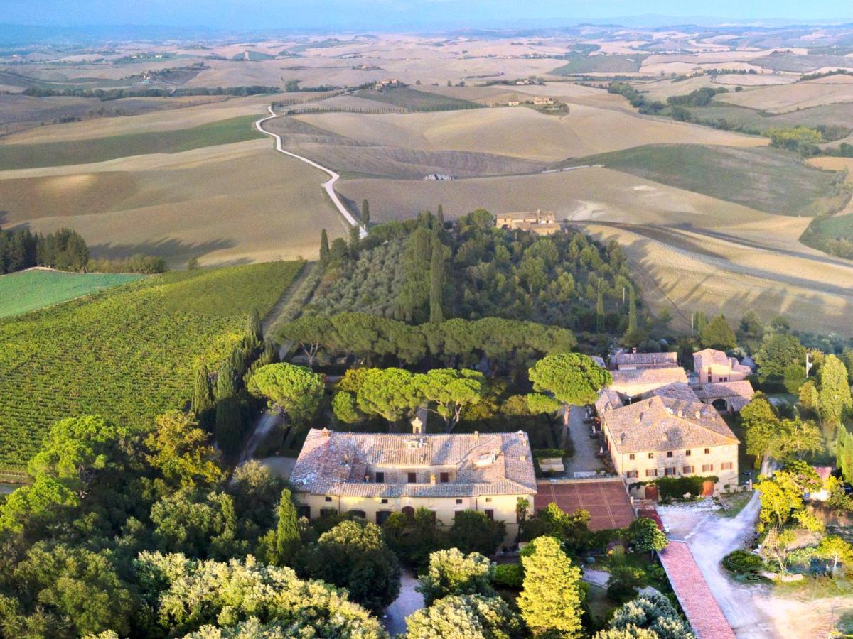 Villa Buonsignori - Wine & Olive Oil Farm * Corsano (Tuscany)