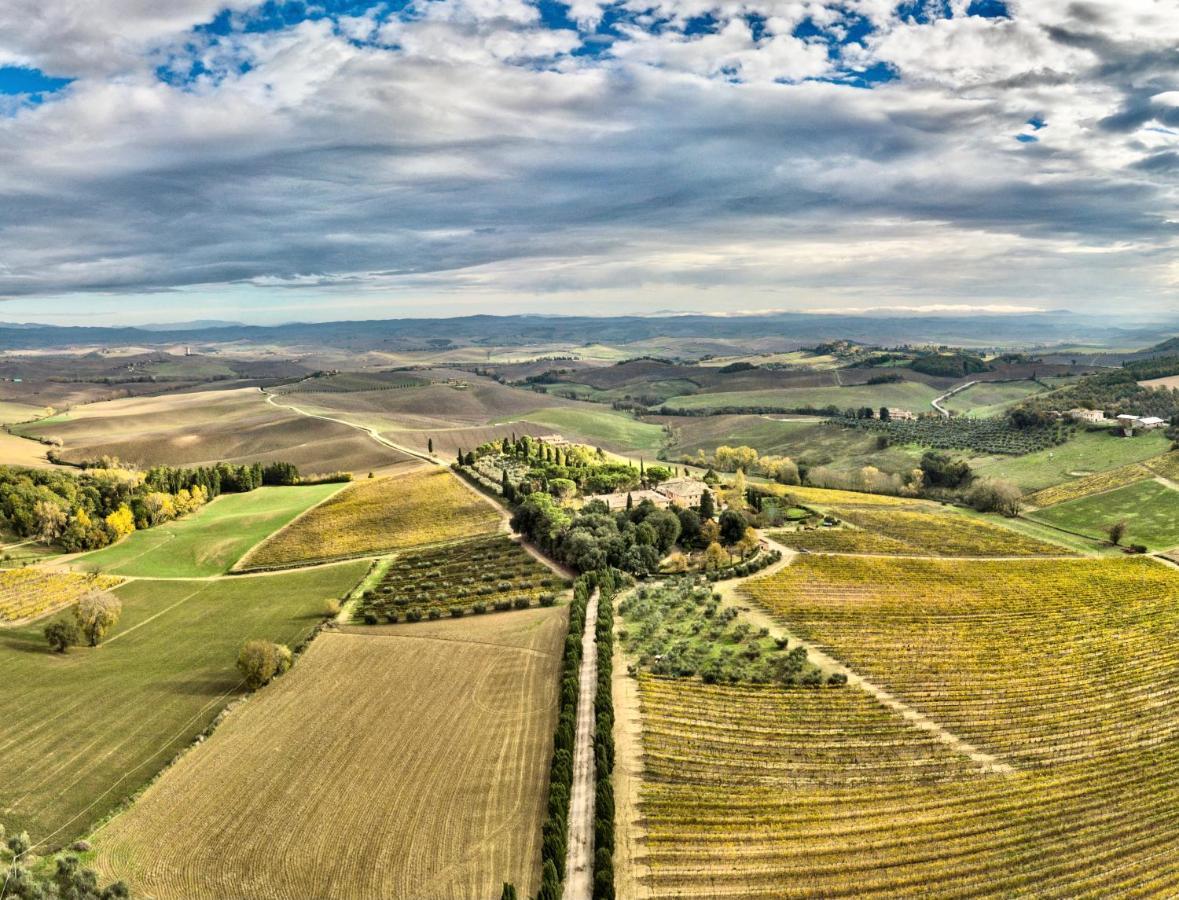 Apartment Villa Buonsignori - Wine & Olive Oil Farm