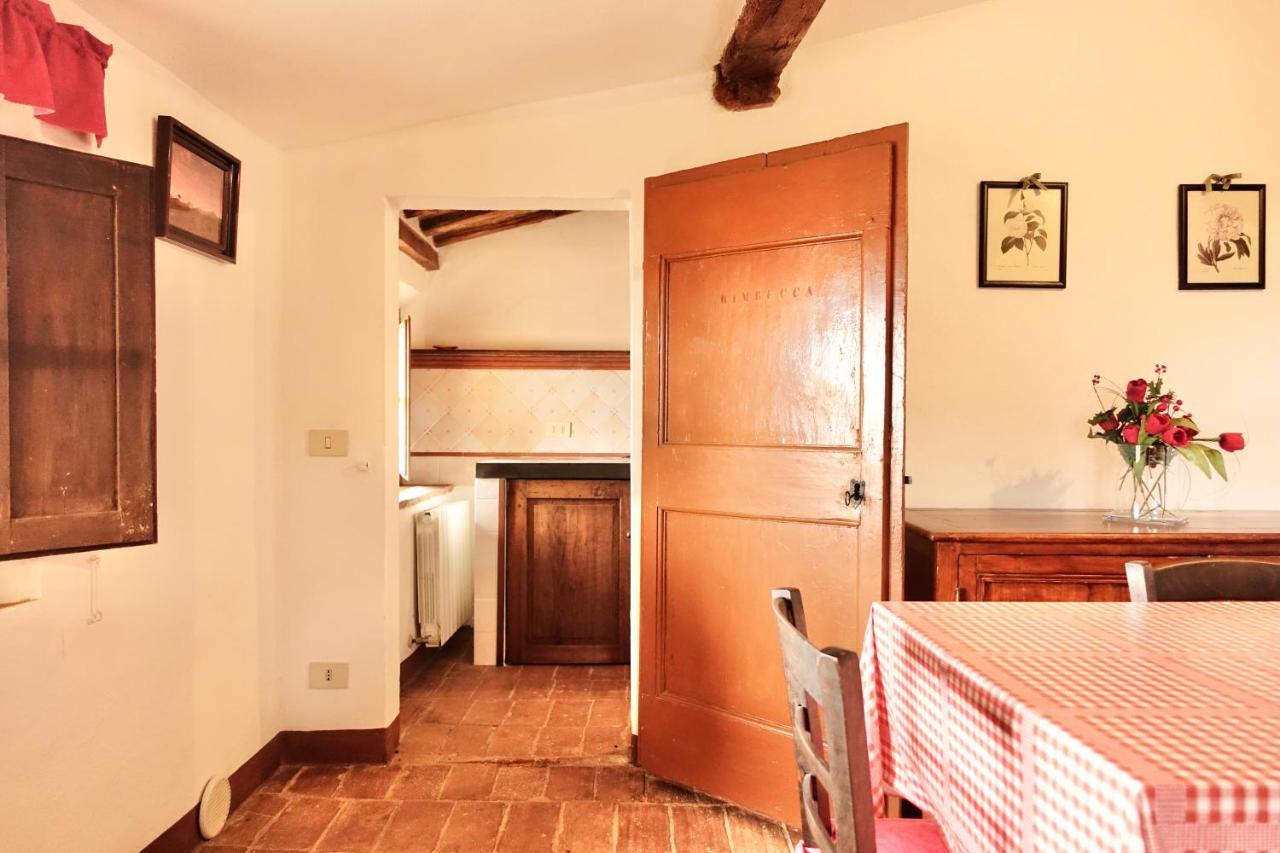 Villa Buonsignori - Wine & Olive Oil Farm