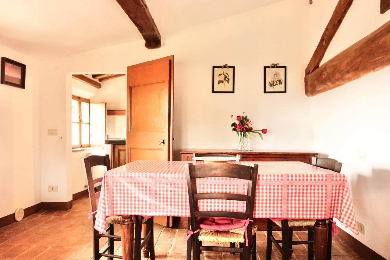 Apartment Villa Buonsignori - Wine & Olive Oil Farm Corsano (Tuscany)