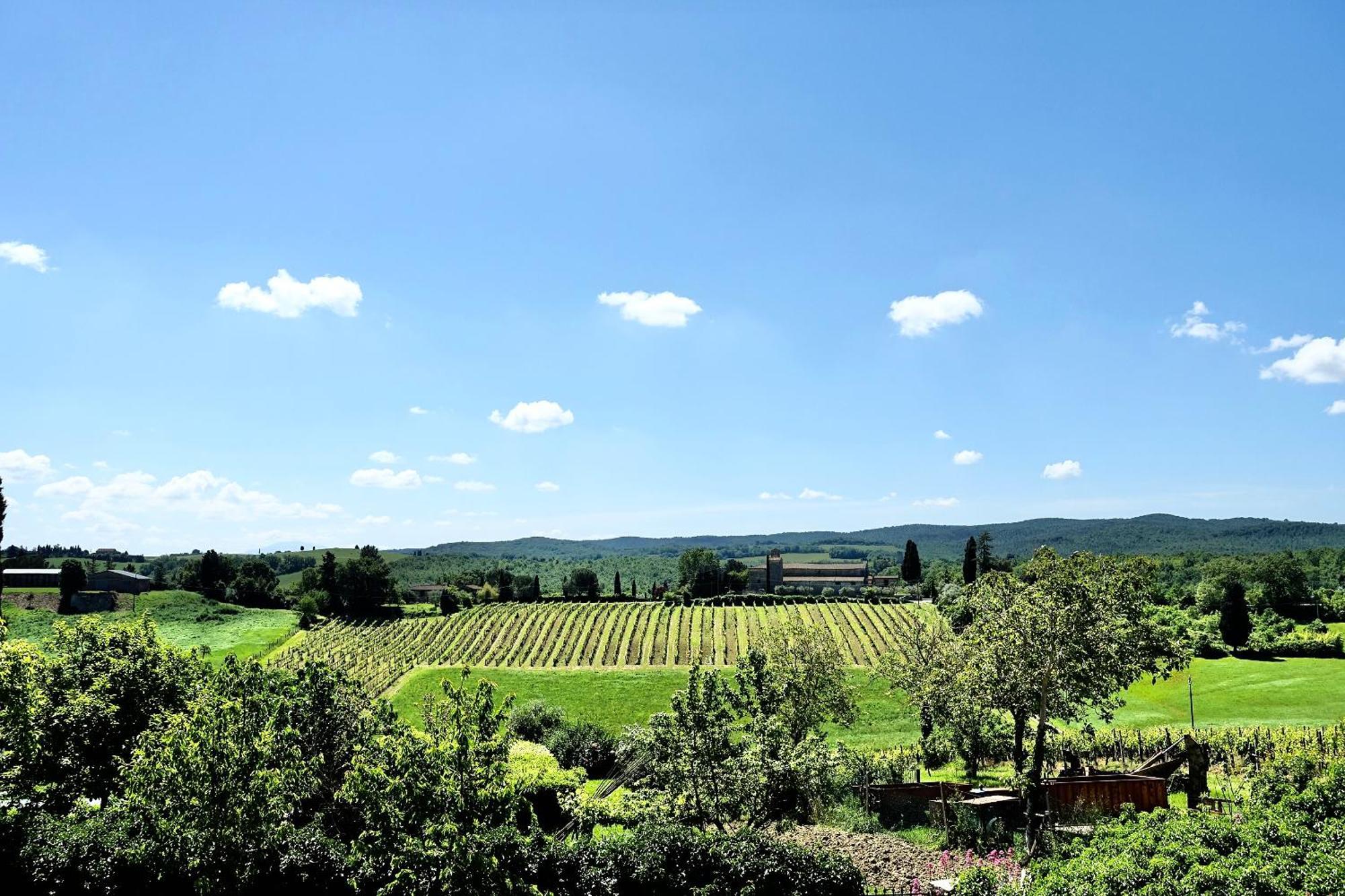 Apartment Villa Buonsignori - Wine & Olive Oil Farm